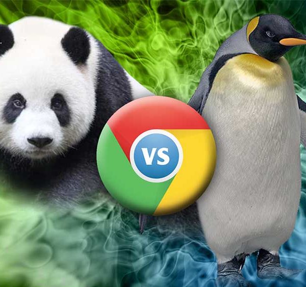 panda vs pinguin