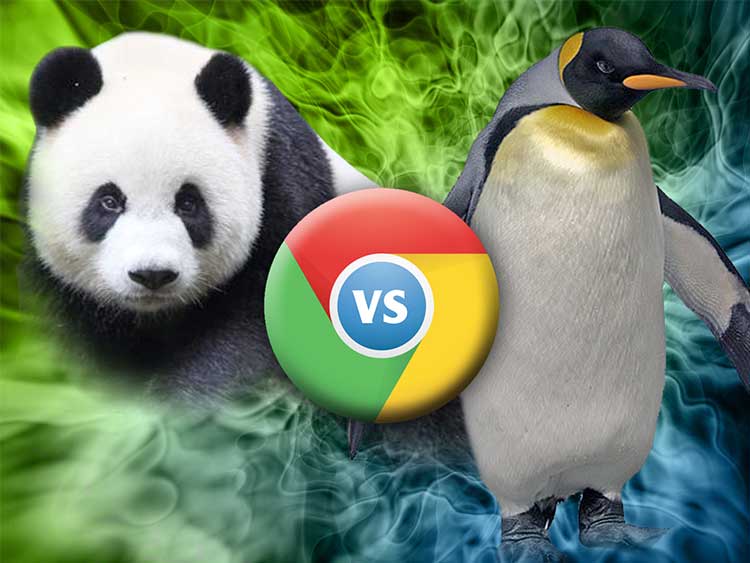 panda vs pinguin